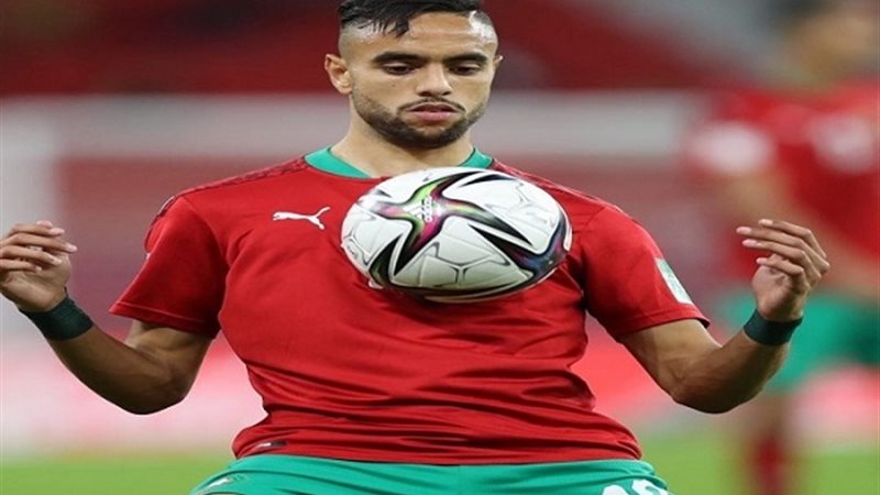 محمد الشيبي