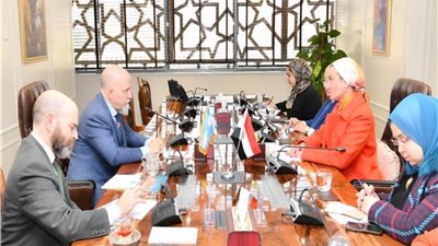 تعاون مصرى أرجنتيني لتعزيز فرص الاستثمار البيئي والمناخي