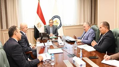 وزير البترول يبحث مع وفد 