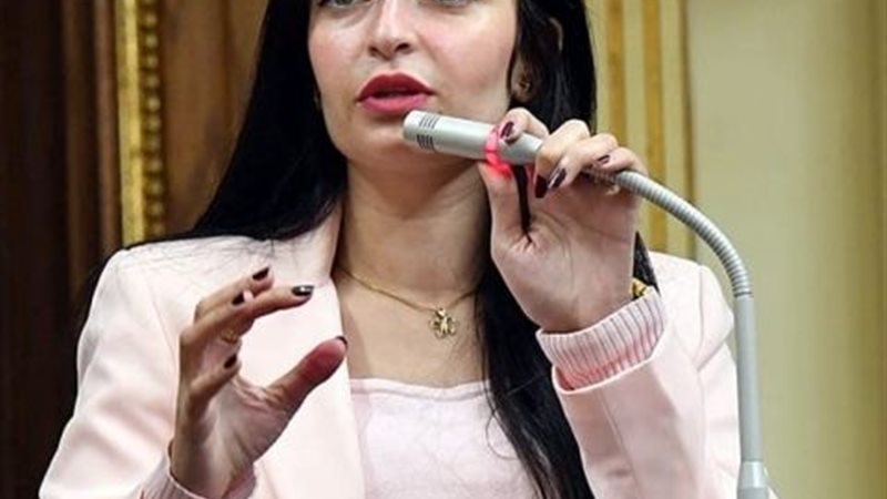 النائبة إيرين سعيد