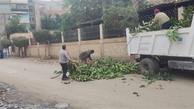 حملة نظافه بالمنصورة