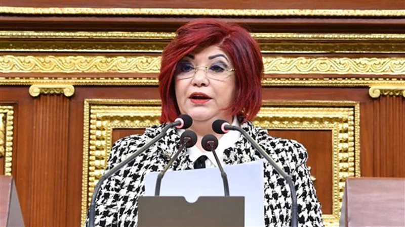 النائبة نورا علي