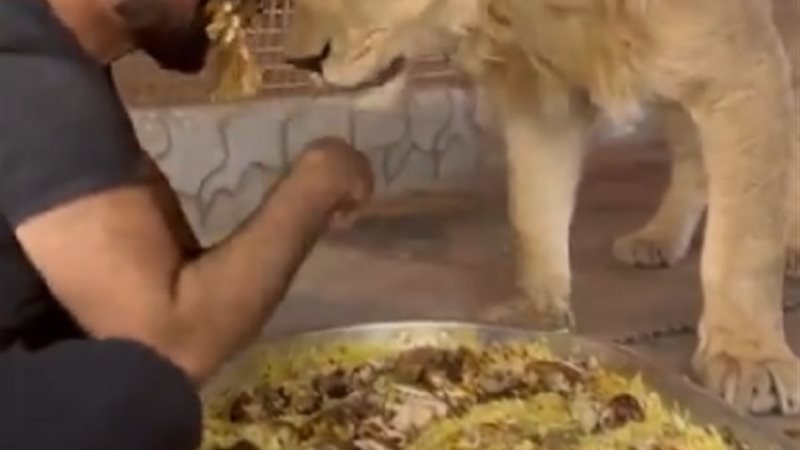 لقطة من الفيديو