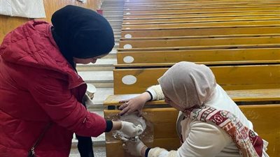 تكويد المدرجات والمقاعد الدراسية بكليات جامعة جنوب الوادى