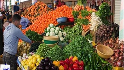 الزراعة: إنتاج 23 مليون طن من الخضر و 15 مليون طن من الفاكهة