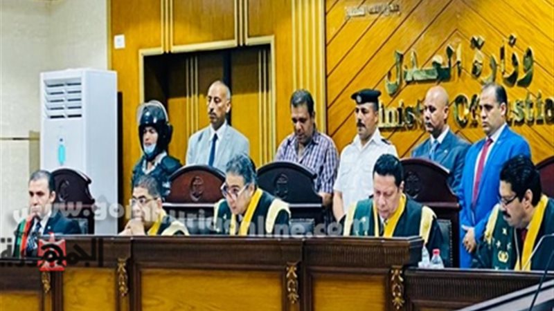 تأجيل نظر قضية تنظيم