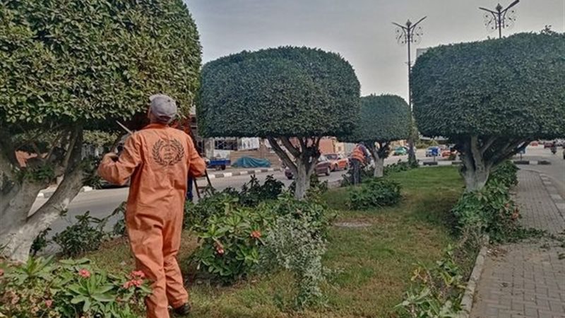 بوابة الجمهورية