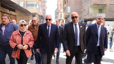 محافظ الجيزةورئيس تنميةالمشروعات يتفقدان تطويرالمناطق غير المخططة