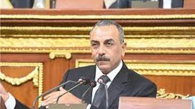 برلمانى : إجراء الحوار الاقتصادى يعالج الآثار السلبية التى لحقت باقتصادنا الوطنى بسبب الظروف الإقليمية