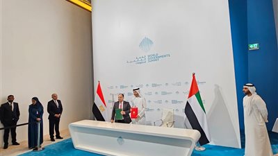 معيط: تذليل أي عقبات ضريبية أو جمركية أمام مستثمري الإمارات