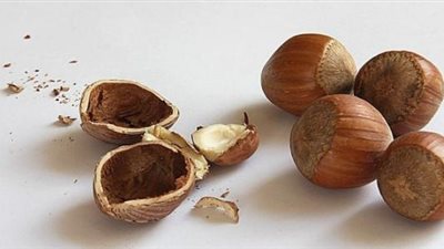 خطوات تقشير البندق ..تعرف عليها