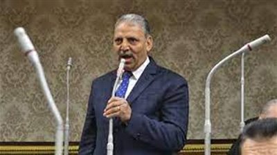 وكيل لجنة الدفاع والأمن القومى بالنواب: زيارة أردوغان خطوة لتنشيط التعاون الثنائى