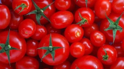 الطماطم..هل عليها زكاة؟