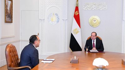 الرئيس السيسى يتابع سير العمل بعدد من ملفات العمل الحكومى