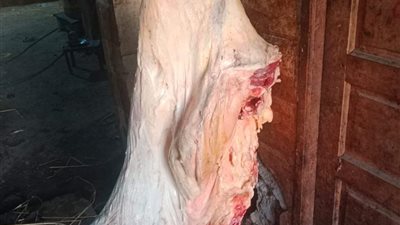 حملة تفتيشية على أسواق بيع اللحوم بالمنيا