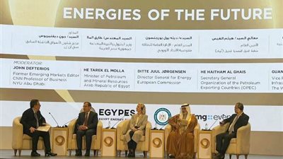 الملا: توافر التمويل اللازم لجهود التحول الطاقى يضمن انتقال طاقوى سريع