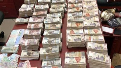 ضبط شخصين غسلوا 60 مليون جنيه من النصب والأحتيال على المواطنين