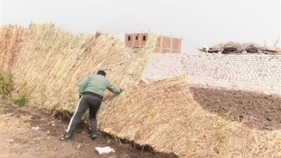حملات ازاله بالدقهلية