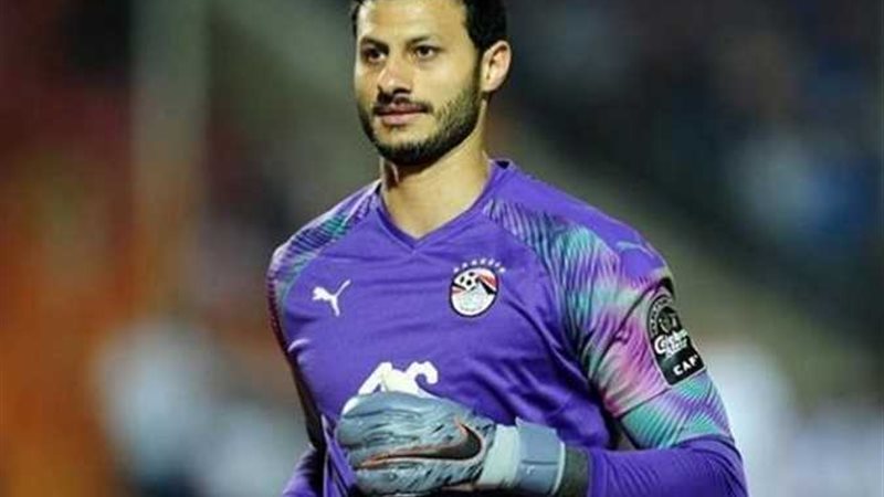 محمد الشناوي