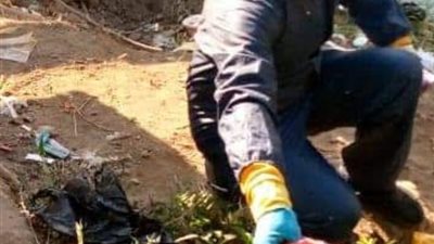 تكثيف مكافحة ناقلات ومسببات الامراض خلال يناير