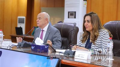 مستشار رئيس الجمهورية ومحافظ دمياط يتابعان مشروعات 