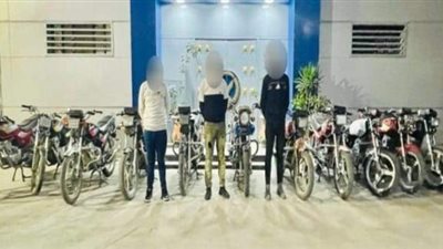 الأمن العام يضبط حرامية الشوارع والشقق السكنية ب 3 محافظات