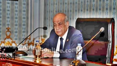 د.أسامة منصور إنشاء سلم كهربائي علي مزلقان قويسنا محافظة المنوفية