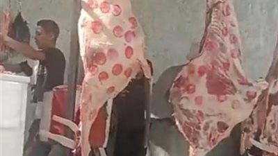 كيلو اللحمة البلدى 350 جنيها فى مبادرة 