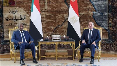 متحدث الرئاسة يكشف تفاصيل مباحثات الرئيس السيسي والبرهان لحل الأزمة السودانية