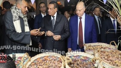وزير التنمية المحلية والمحافظ يفتتحان مهرجان القاهرة الدولي