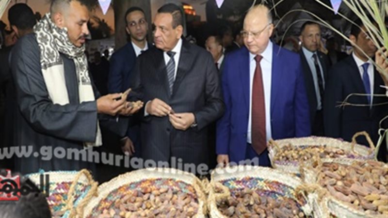 وزير التنمية المحلية