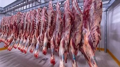 بشرى سارة من الحكومة بشأن انخفاض أسعار اللحوم خلال الفترة المقبلة
