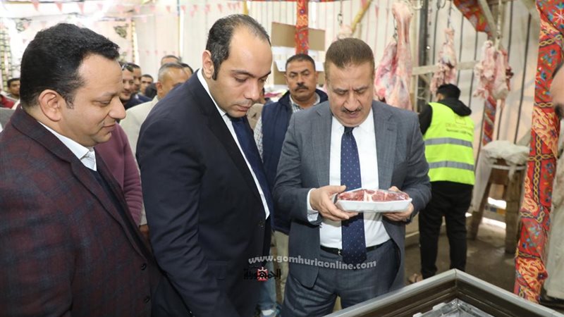 محافظ المنوفية يتفقد