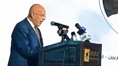 جذب الاستثمار الأجنبي وبناء القدرات التصنيع والإنتاجية