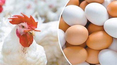 نواب الشعب: نتوقع بدء تراجع الأسعار مع بداية رمضان