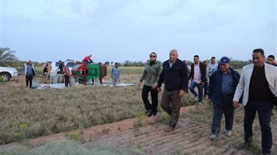 محافظ الوادي الجديد يشهد حصاد ٧ أفدنة كمون
