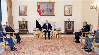 الرئيس السيسي يعرب عن تقديره لموقف إسبانيا الداعم للحقوق الفلسطينية