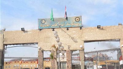 غدا ..بدء موسم توريد محصول البنجر في المنيا