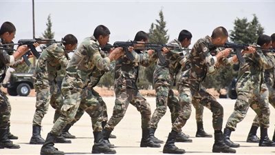 الجيش السوري ينفذ عمليات نوعية ضد التنظيمات المسلحة