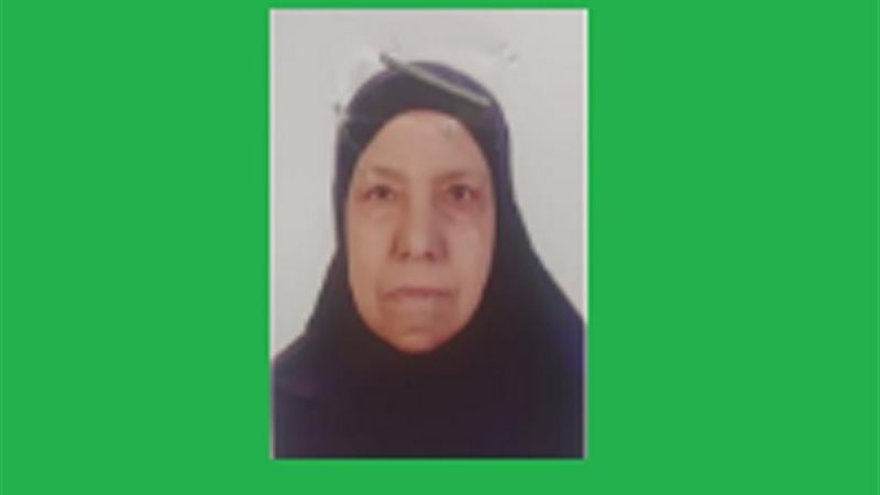 الأم المثالية البديلة