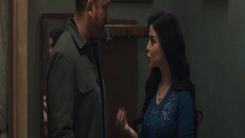 أمير كرارة وميرنا