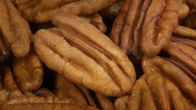 الجوز البرازيلي ضحية إزالة غابات بوليفيا