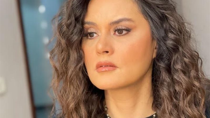 الفنانة رشا مهدى