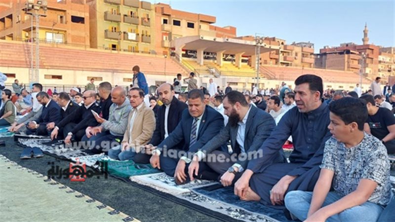 رئيس مدينة قويسنا