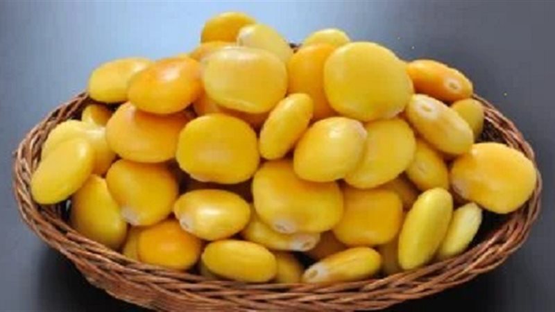 ترمس