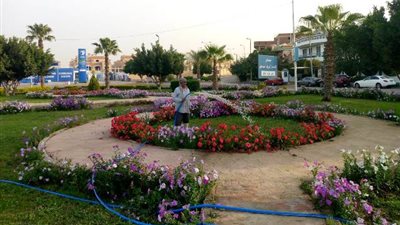 تعرف على استعدادات جهاز مدينة الشروق لموسم 
