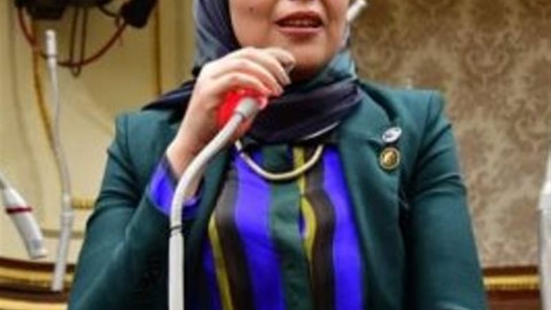 النائبة سارة النحاس