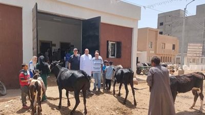 خدمات علاجية بيطرية مجانية فى وحدة بني عامر