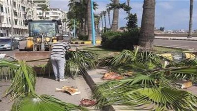 حملات موسعه لاعمال النظافة ورفع المخلفات بالجمرك