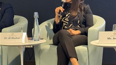 المشاط: مصر طبقت مفهوم منصات التعاون بين مؤسسات التمويل الدولية